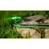 Kép 2/4 - CELLFAST green ats 5 rétegű locsolótömlő